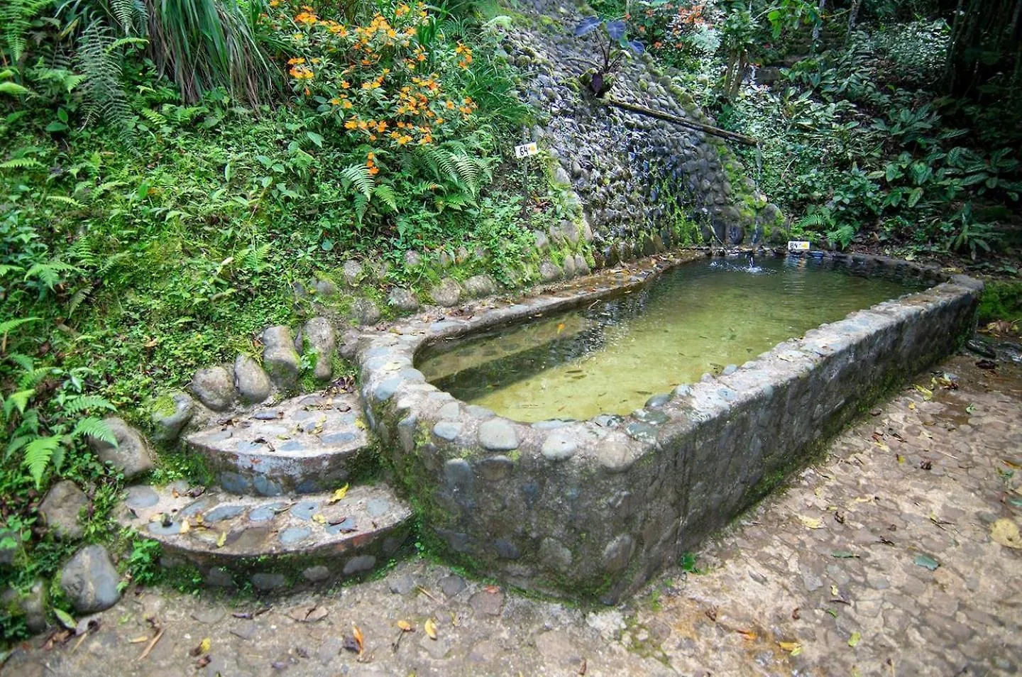 Alloggio per agriturismo Villa Agora Manantial Cali
